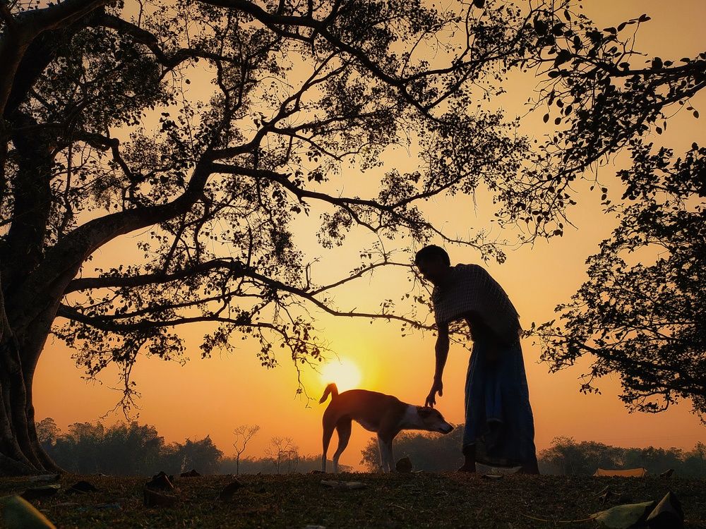 Фотография автора PRADIPTAMOY PAUL