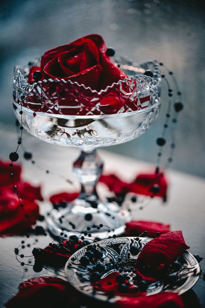 Photograph by irina sherry