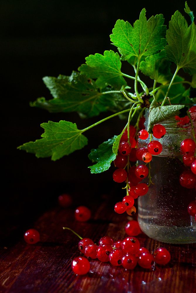 Photograph by Виктория Уварова