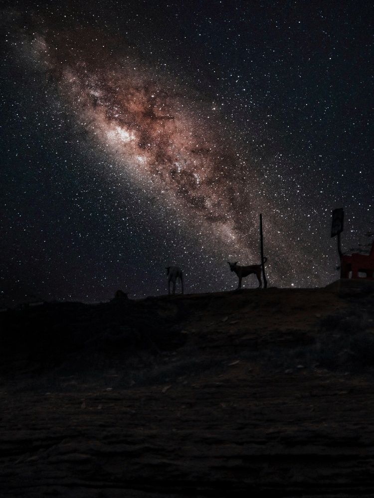 Photograph by Muhammad Saad -