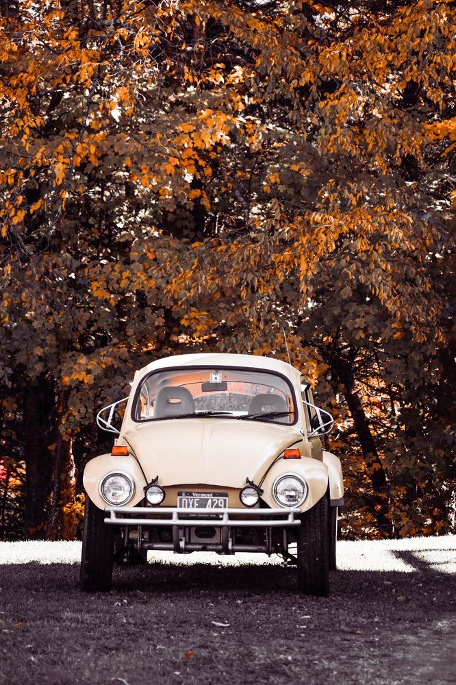 Photograph by Gargee Chowdhury