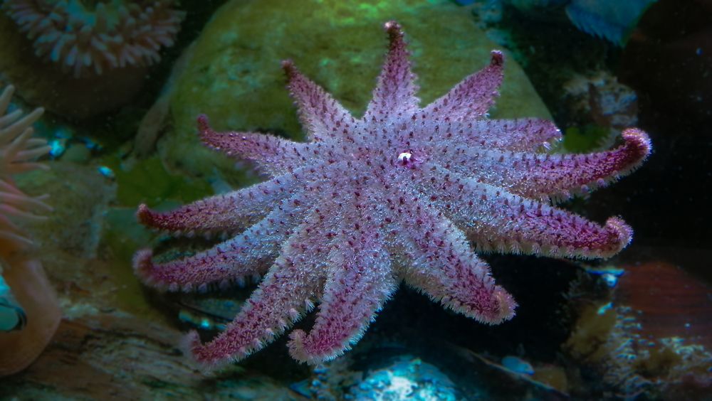 Photograph by Филиппов Олег