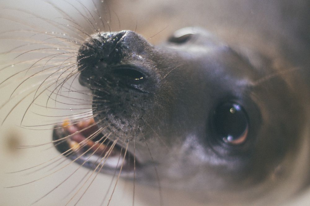 Photograph by Антон