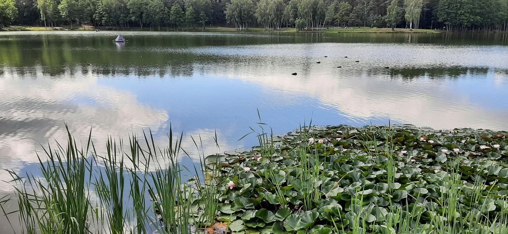 Photograph by Марийона Савоненко