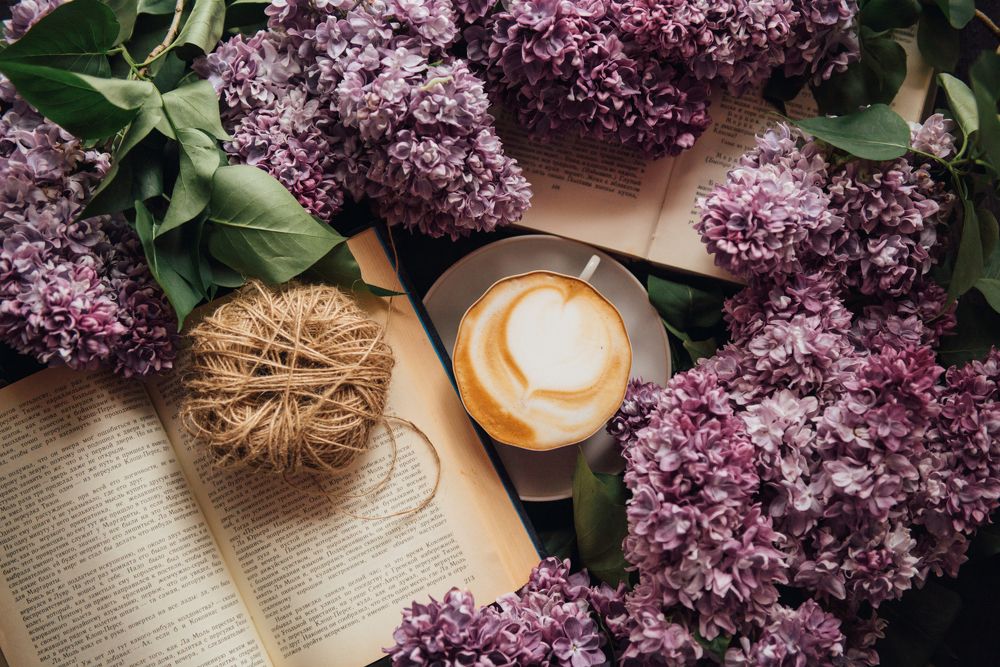 Photograph by Евгения Федулова