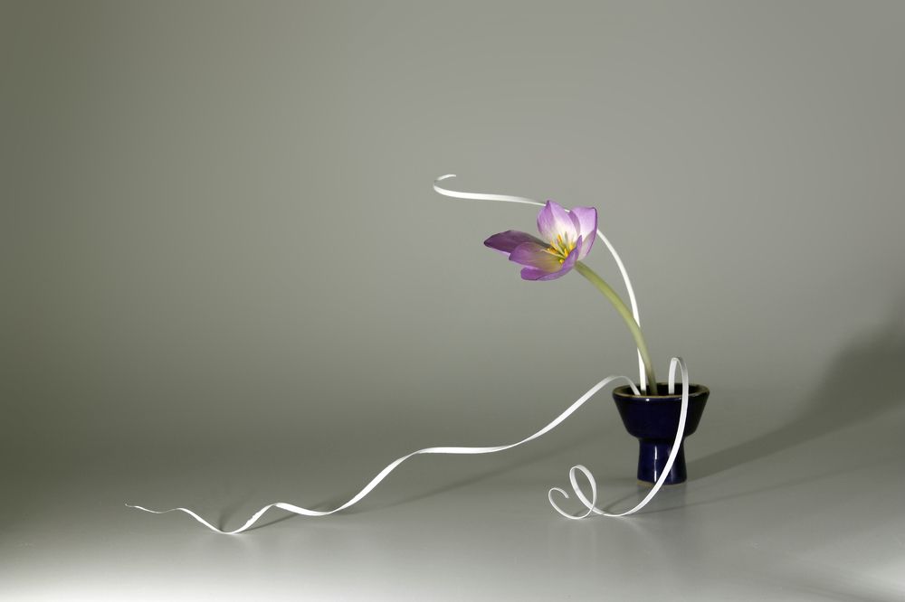 Безвременник