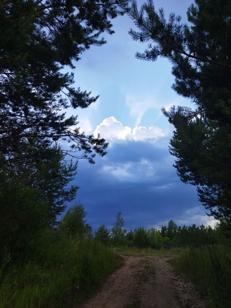 Photo #7902282