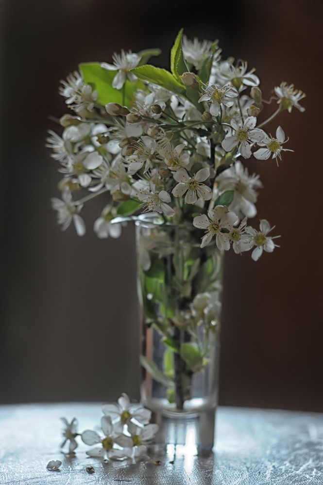 Photograph by Анна Кривицкая