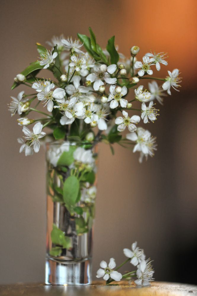 Photograph by Анна Кривицкая