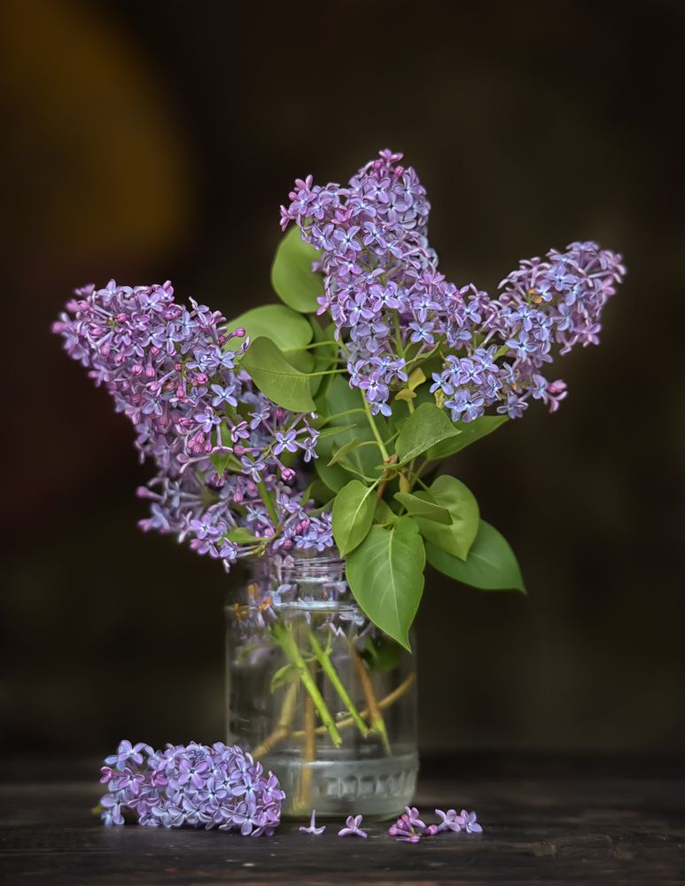 Photograph by Анна Кривицкая