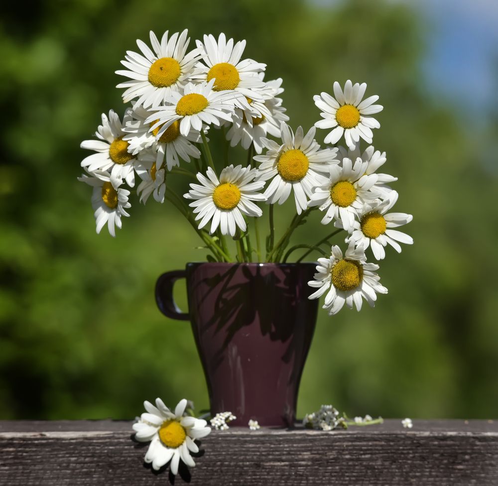 Photograph by Анна Кривицкая