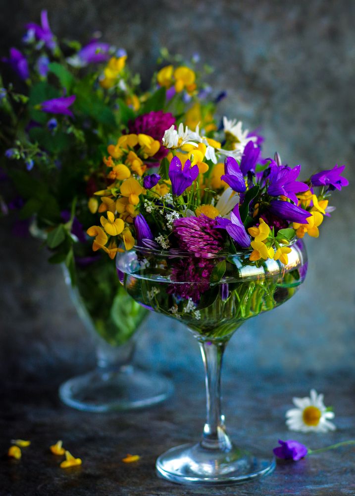 Photograph by Наталья Шумилова