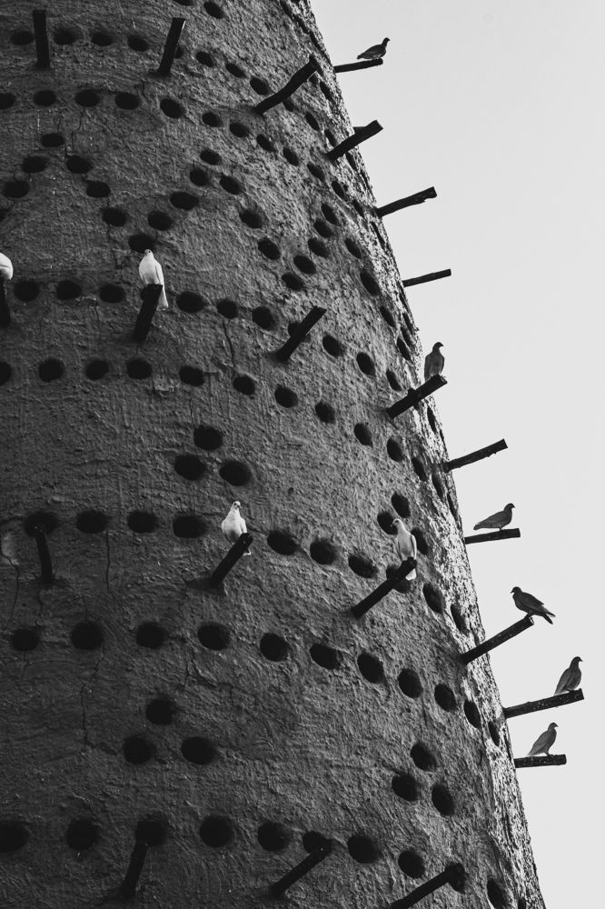 Photo #7902427