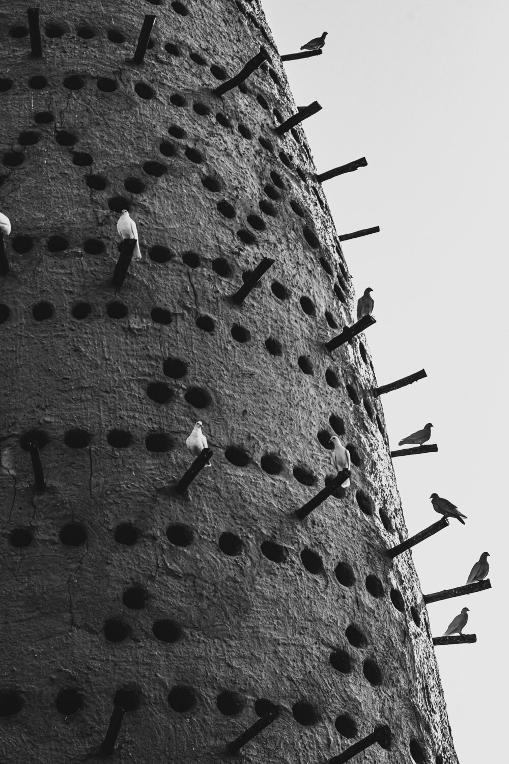 Photo #7902427