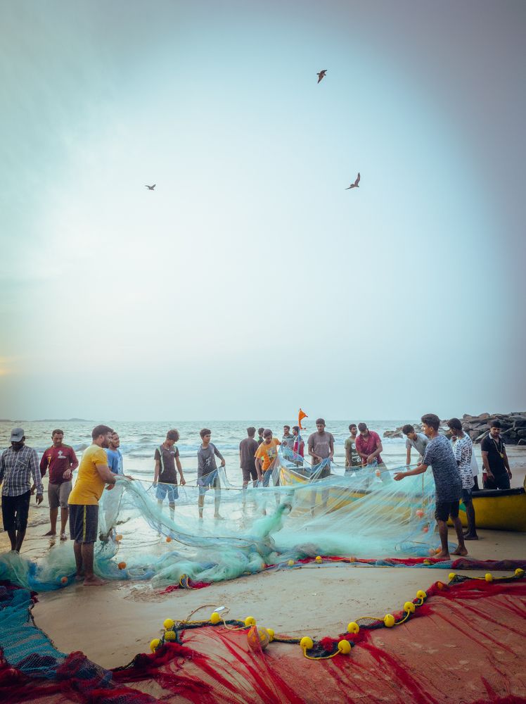 Photograph by Venkatesh r Kamath