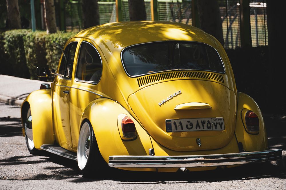 Photograph by Ольга Ларизадех