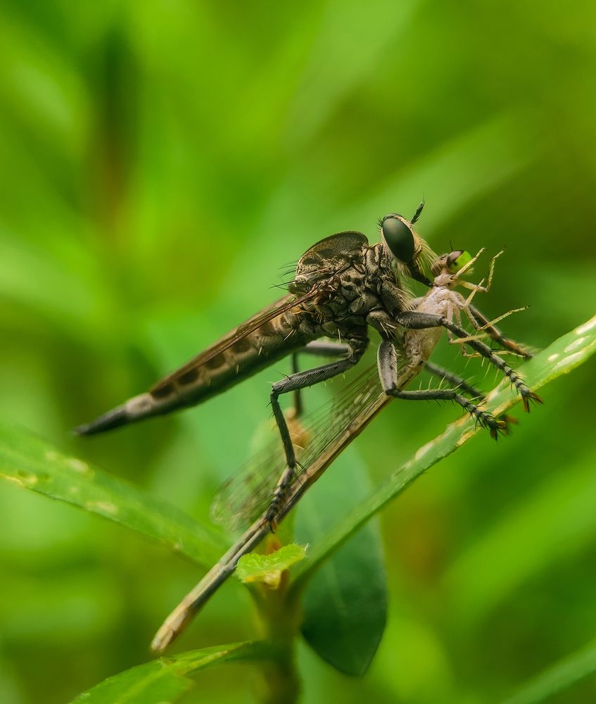 Photograph by Arindam Sahoo