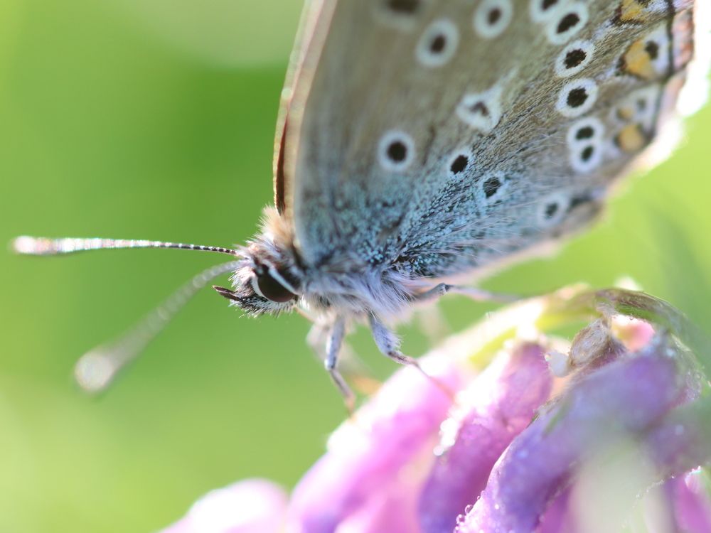 Photograph by Юлия Чиботарь