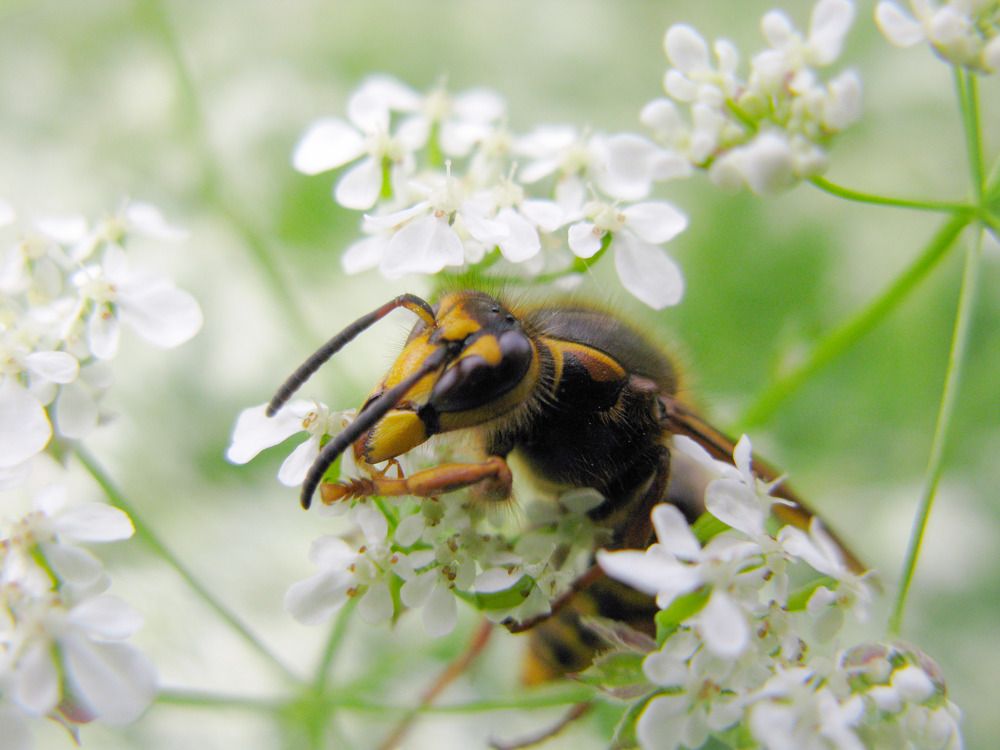 Photograph by Юлия Чиботарь