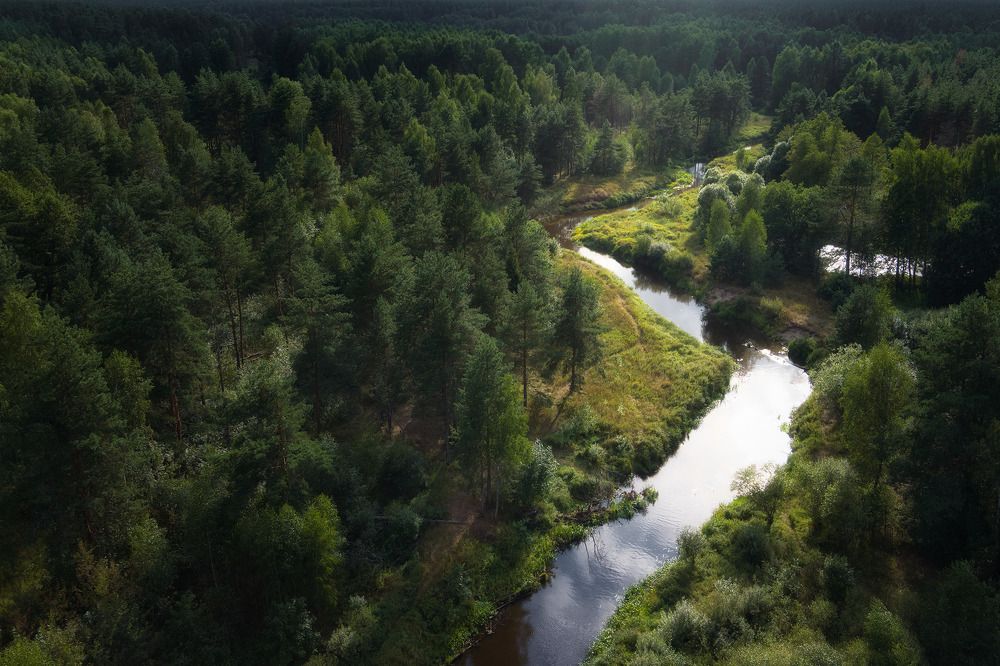 Photograph by Поляков Михаил