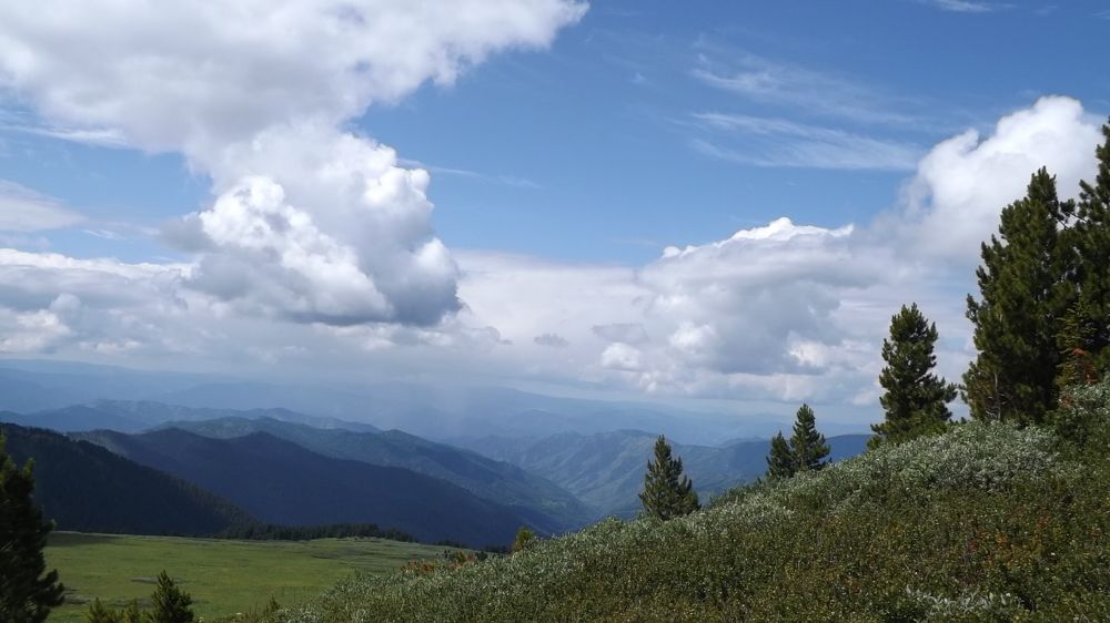 Голубой туман