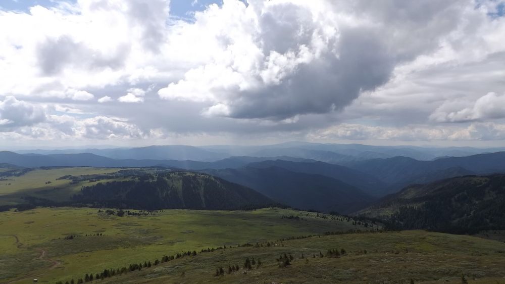 Photograph by Наталья БАЛАБАЕВА