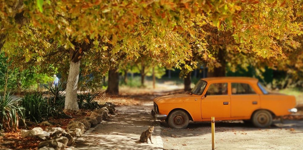 Photograph by Anna Parshenko