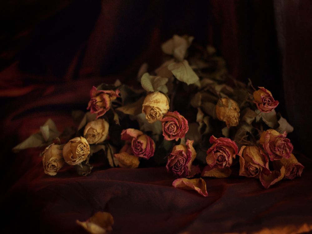 Photograph by Виктория Игонина