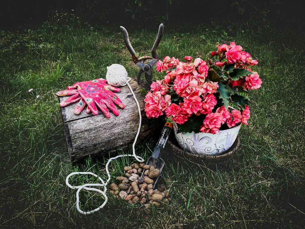 Photograph by Елена Шкред