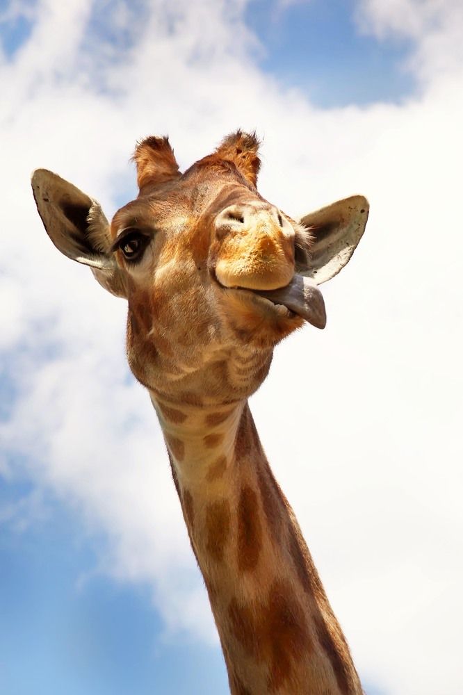 Photograph by Юлия