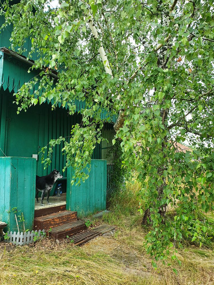 Фотография автора Надежда Лисицына