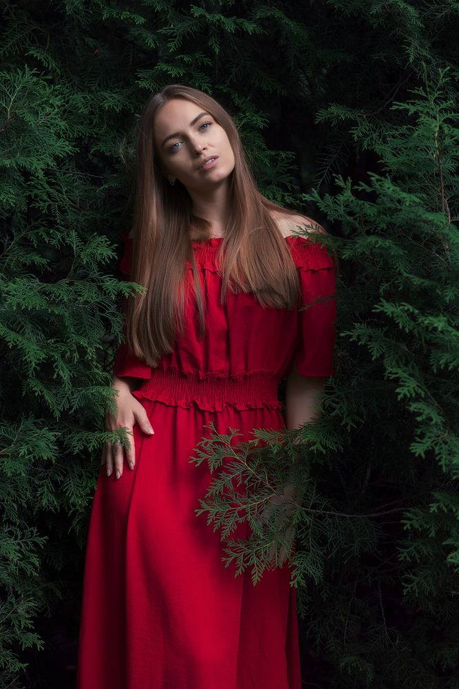 Фотография автора Wolf Adrian