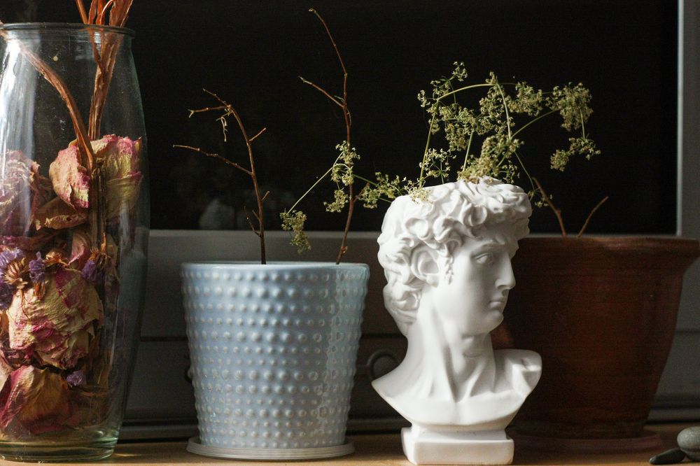 Photograph by Надежда