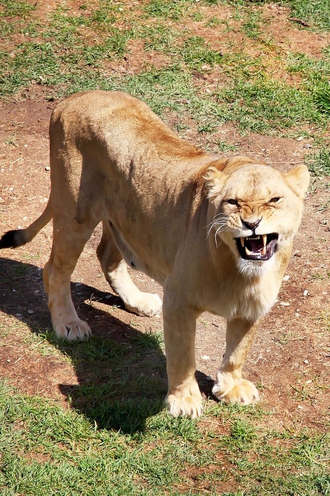 Photograph by Юлия