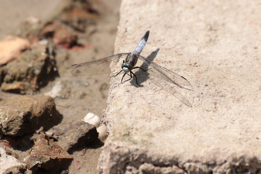 Photograph by Светлана Соколова