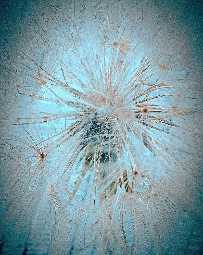 Photograph by Нина Мехнина