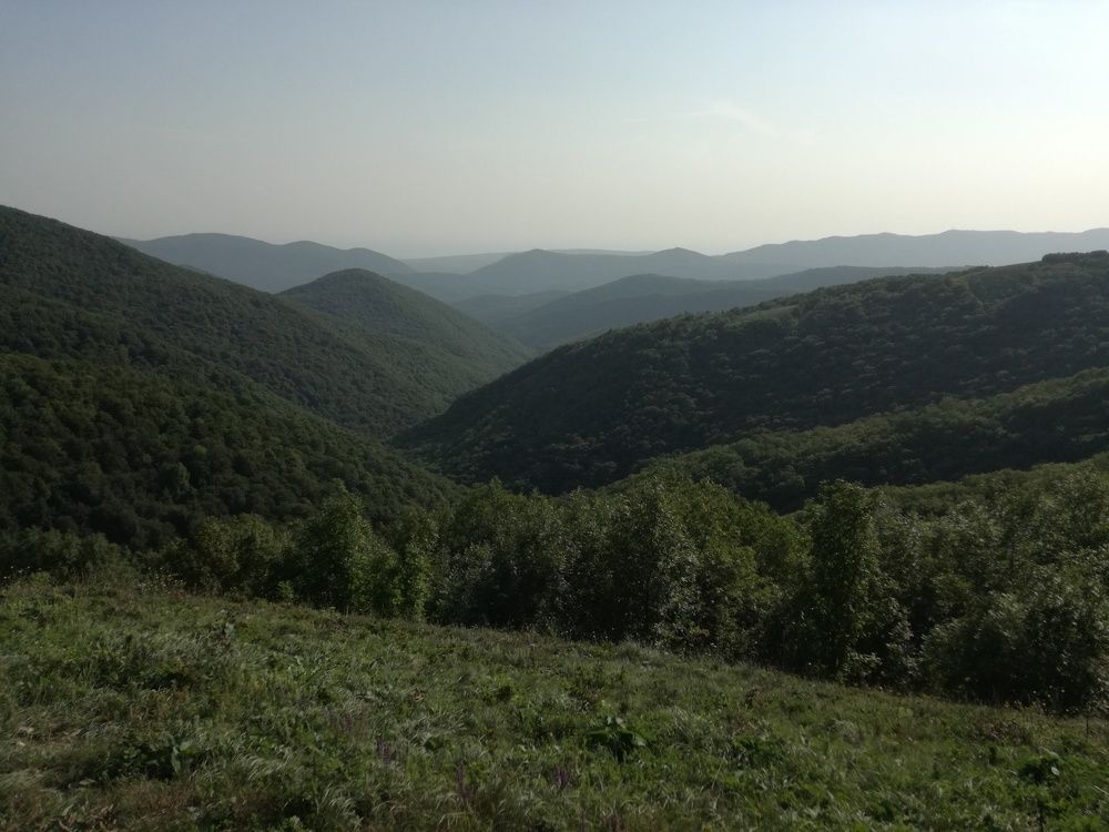 Холмы