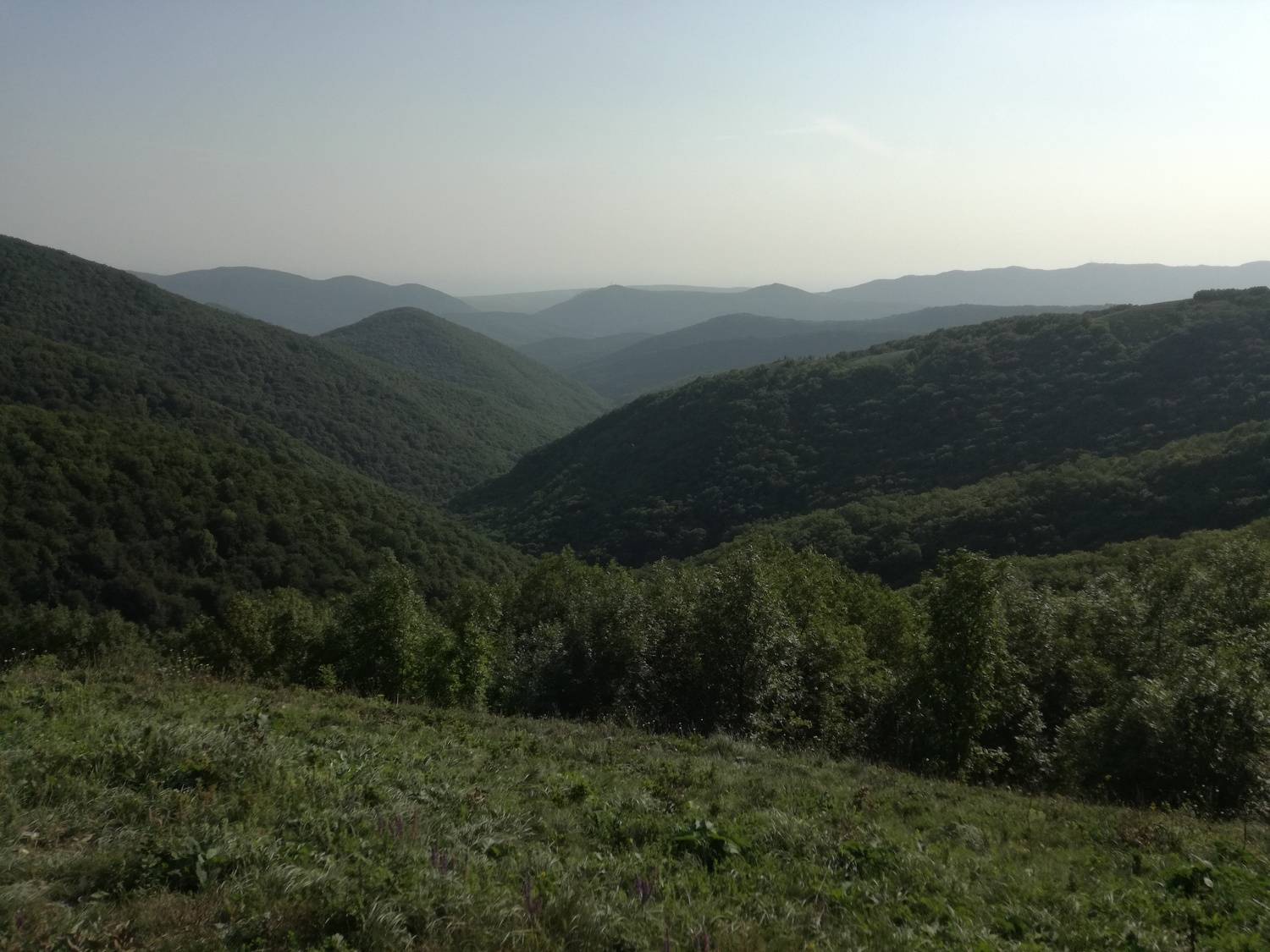Холмы