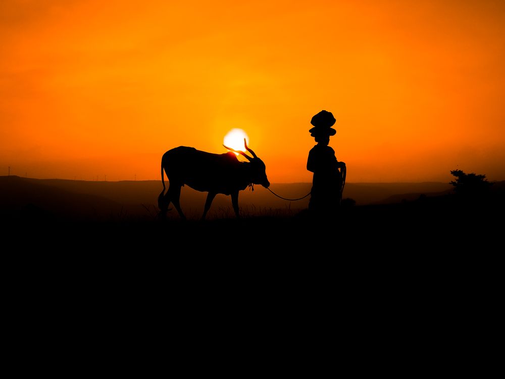 Photograph by Atul Shinde