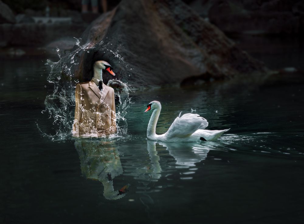 Кто здесь главный?