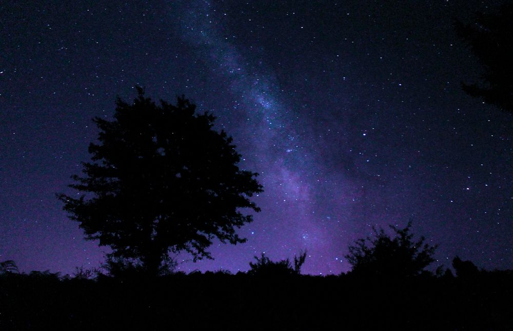 Фотография автора Vahid Basiri