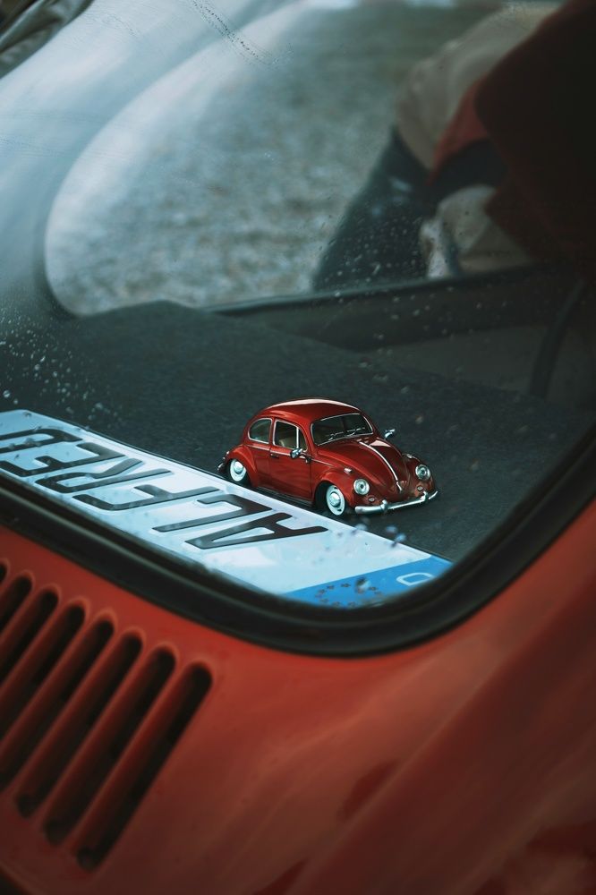 Photograph by Mohammad reza Falah