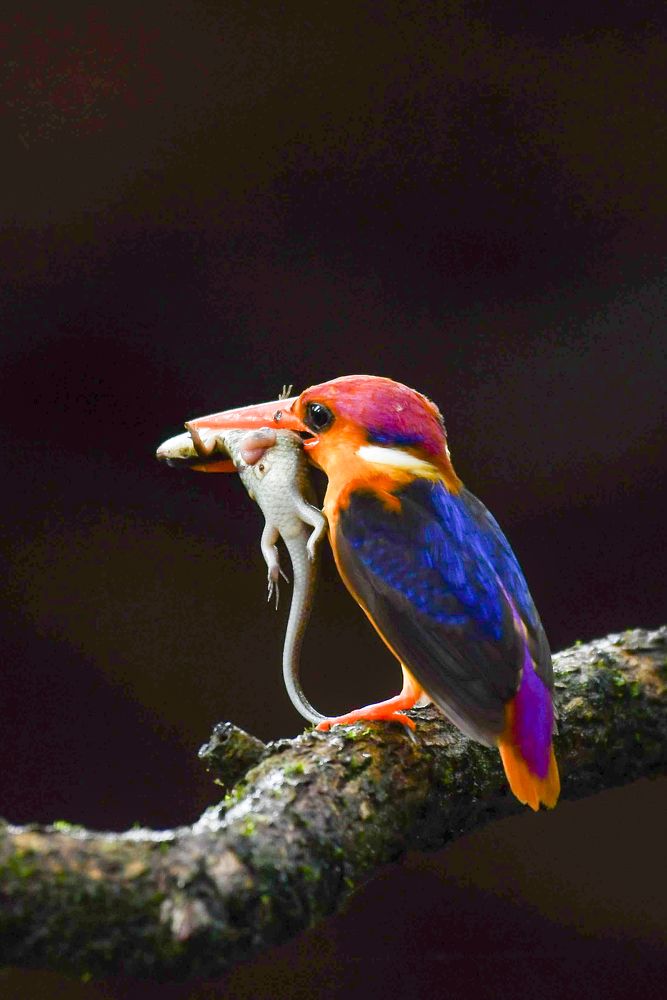 Photograph by Leela Hemachand Gera