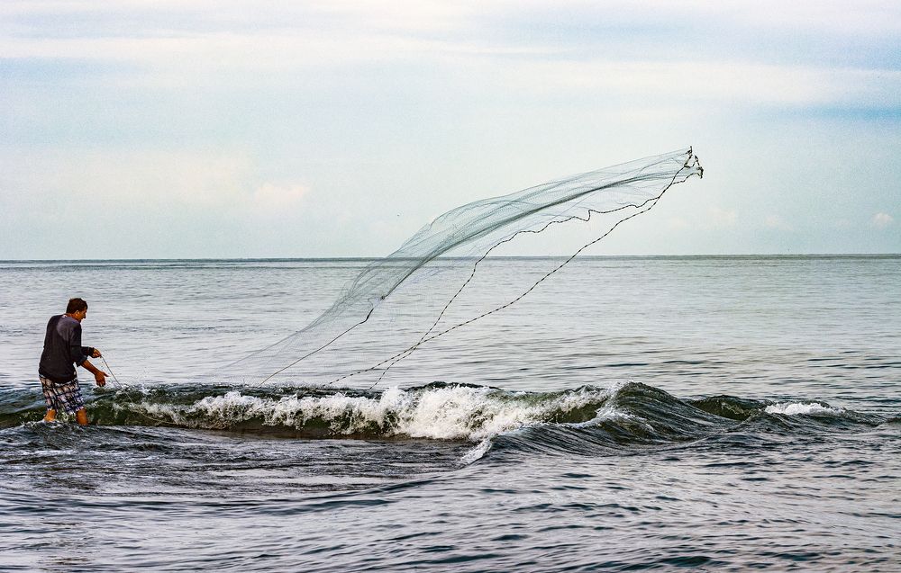 Photograph by Alex Kalpus