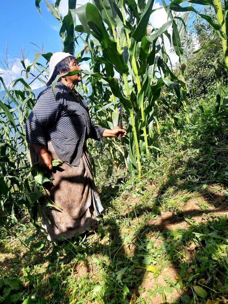 Фотография автора Karma Yangdon