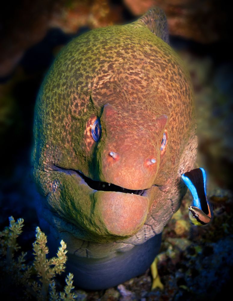 Photograph by Сергей Лисицын