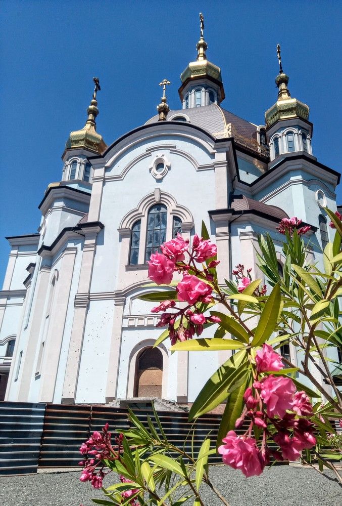 Photograph by Татьяна Пальчикова