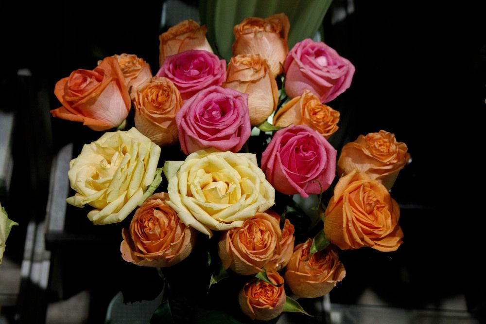 Photograph by Dmitriy Marchenko