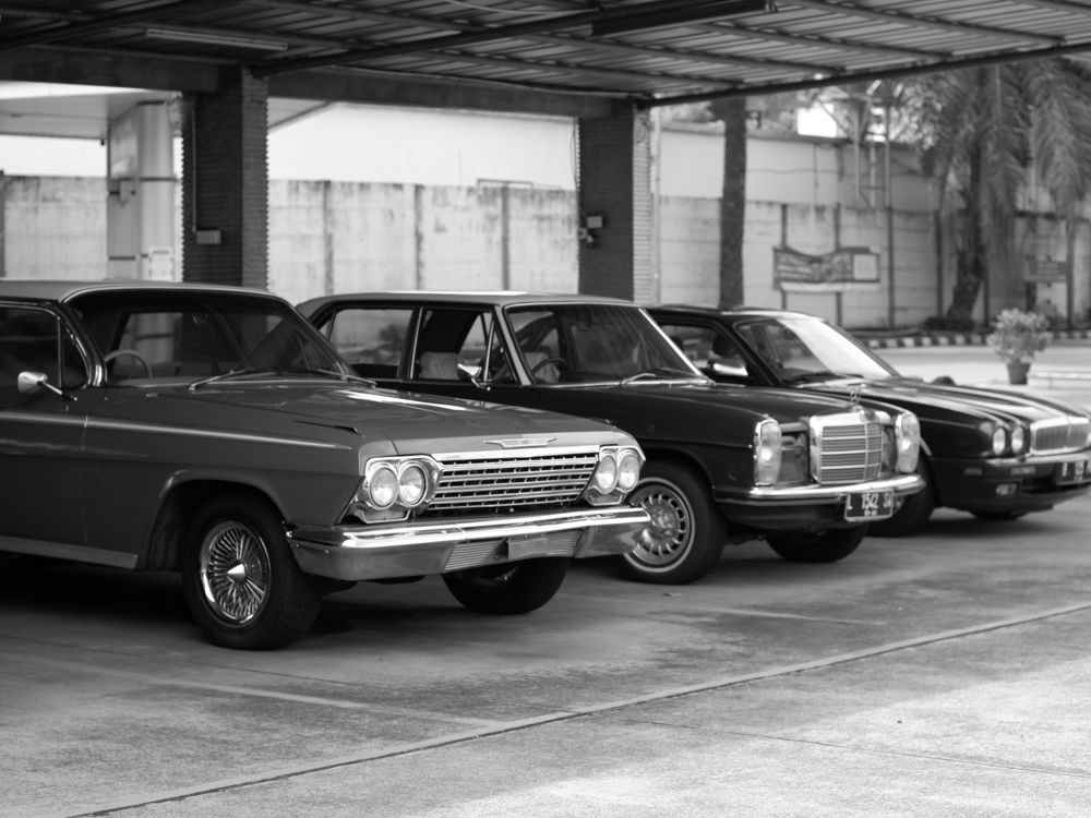 Фотография автора R. Zai