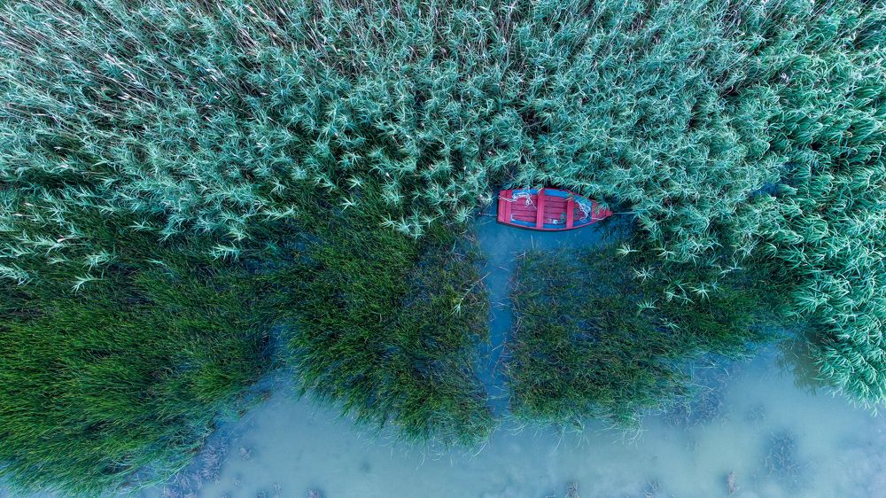 Photograph by Daniel Kiss